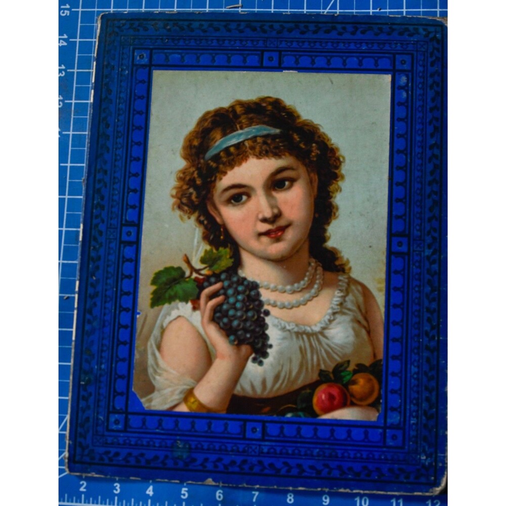 Victorian Chromolithograph Book Board Cover Girl with Grapes Fruit Cobalt Blue
